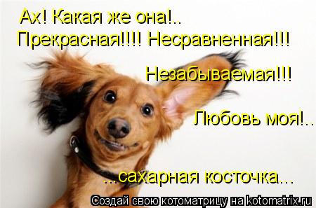 Ах! Какая же она!.. Прекрасная!!!! Несравненная!!! Незабываемая!!! Любовь моя!.. ...сахарная косточка... Котоматрица: Ах! Какая же она!.. Прекрасная!!!! Несравненная!!! Незабываемая!!! Любовь моя!.. ...сахарная косточка...