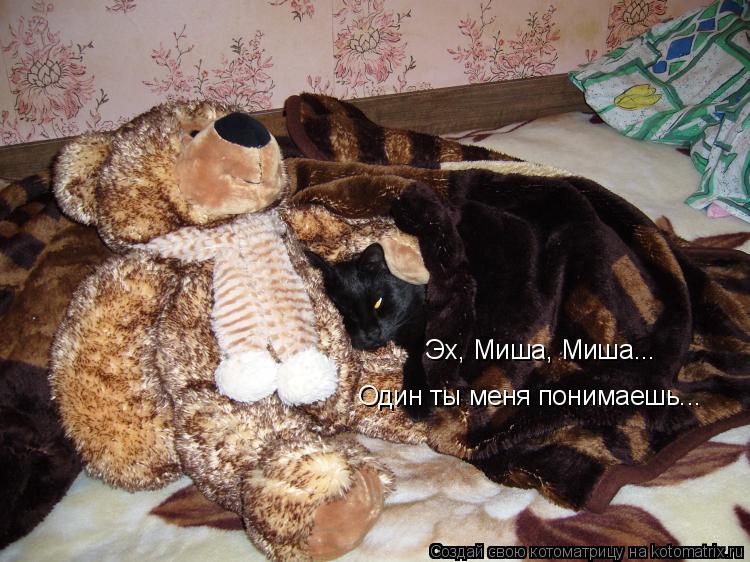 Эх, Миша, Миша... Один ты меня понимаешь...... Котоматрица: Эх, Миша, Миша... Один ты меня понимаешь...