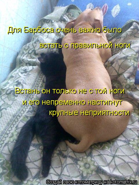Для Барбоса очень важно было встать с правильной ноги Встань он только не с той ноги и его непременн... Котоматрица: Для Барбоса очень важно было встать с правильной ноги Встань он только не с той ноги и его непременно настигнут крупные неприятности