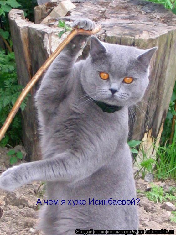 А чем я хуже Исинбаевой?... Котоматрица: А чем я хуже Исинбаевой?