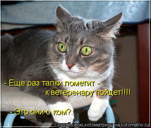 - Еще раз тапки пометит - к ветеренару пойдет!!!! - Это они о ком?..... Котоматрица: - Еще раз тапки пометит - к ветеренару пойдет!!!! - Это они о ком?..