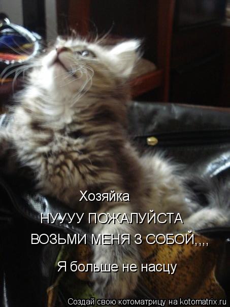 Хозяйка НУУУУ ПОЖАЛУЙСТА ВОЗЬМИ МЕНЯ З СОБОЙ,,,, Я больше не насцу... Котоматрица: Хозяйка НУУУУ ПОЖАЛУЙСТА ВОЗЬМИ МЕНЯ З СОБОЙ,,,, Я больше не насцу