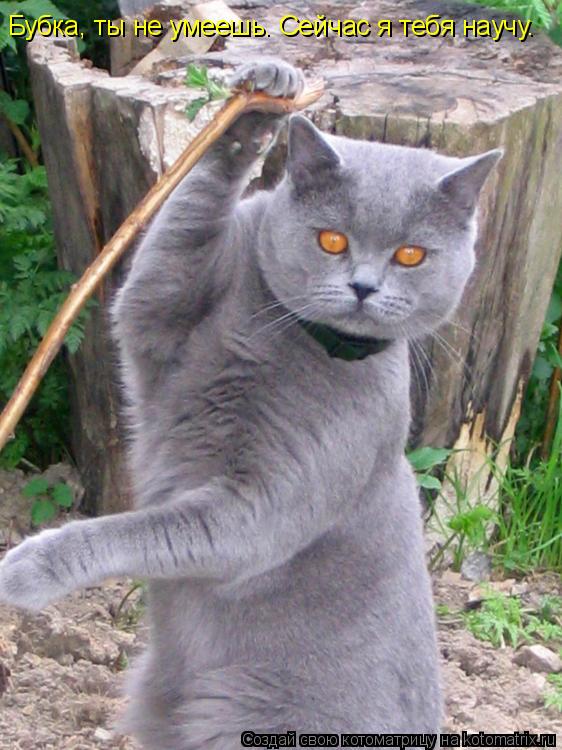 Бубка, ты не умеешь. Сейчас я тебя научу.... Котоматрица: Бубка, ты не умеешь. Сейчас я тебя научу.