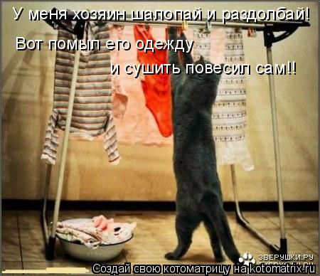 У меня хозяин шалопай и раздолбай! Вот помыл его одежду и сушить повесил сам!!... Котоматрица: У меня хозяин шалопай и раздолбай! Вот помыл его одежду и сушить повесил сам!!