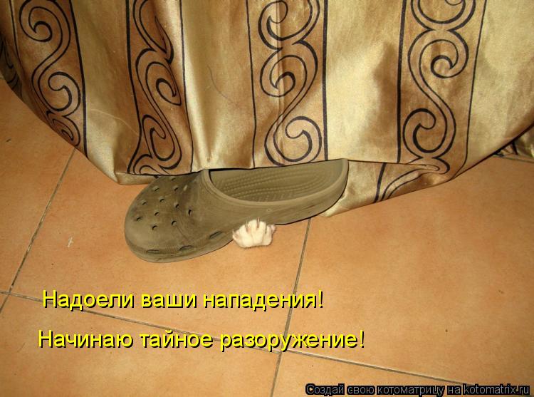 Надоели ваши нападения! Начинаю тайное разоружение!... Котоматрица: Надоели ваши нападения! Начинаю тайное разоружение!