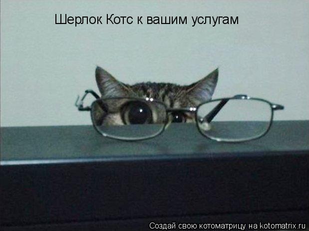 Шерлок Котс к вашим услугам... Котоматрица: Шерлок Котс к вашим услугам