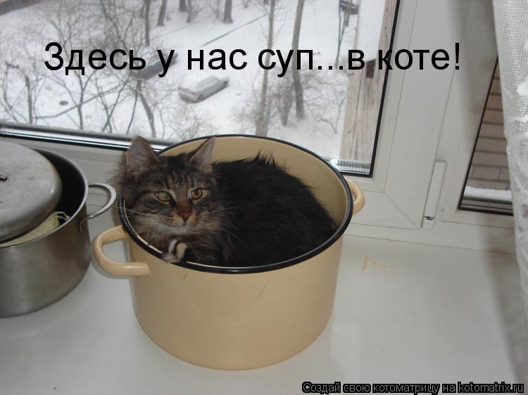 Здесь у нас суп...в коте!... Котоматрица: Здесь у нас суп...в коте!