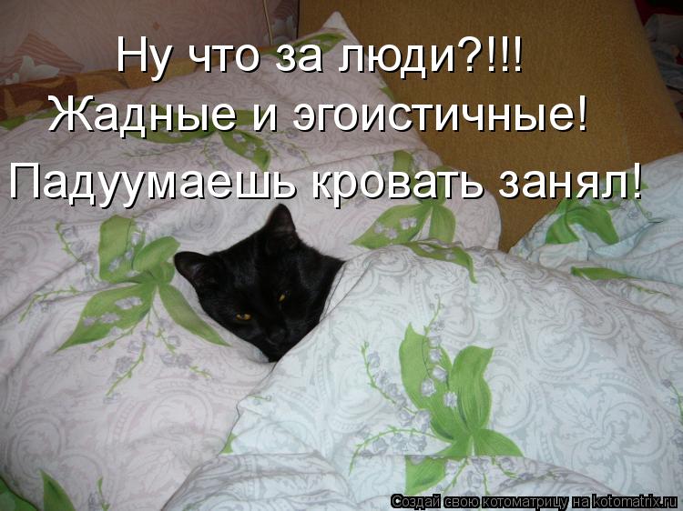 Ну что за люди?!!! Жадные и эгоистичные! Падуумаешь кровать занял!... Котоматрица: Ну что за люди?!!! Жадные и эгоистичные! Падуумаешь кровать занял!