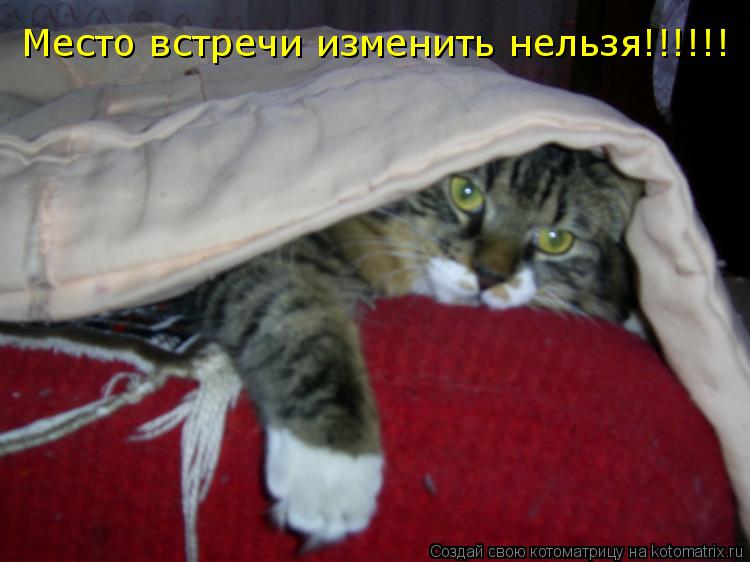 Место встречи изменить нельзя!!!!!!... Котоматрица: Место встречи изменить нельзя!!!!!!