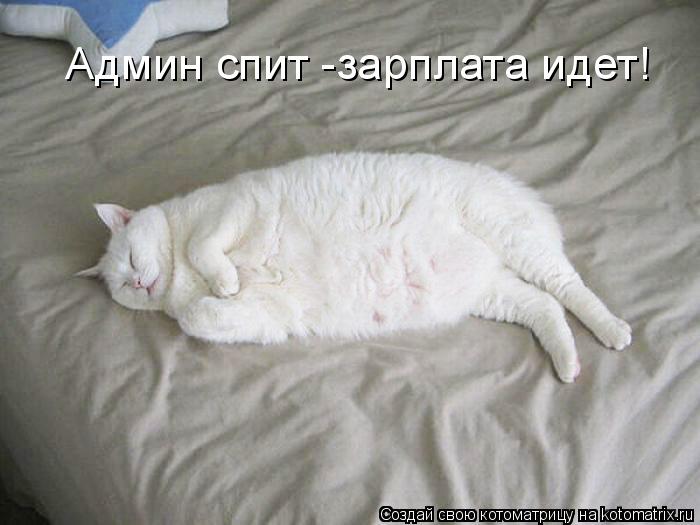 Админ спит -зарплата идет!... Котоматрица: Админ спит -зарплата идет!