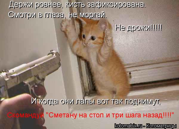 Смотри в глаза, не моргай. Держи ровнее, кисть зафиксирована. И когда они лапы вот так поднимут, Не д... Котоматрица: Смотри в глаза, не моргай. Держи ровнее, кисть зафиксирована. И когда они лапы вот так поднимут, Не дрожи!!!!! Скомандуй "Сметану на стол и три ш