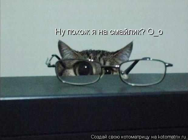 Ну похож я на смайлик? О_о... Котоматрица: Ну похож я на смайлик? О_о