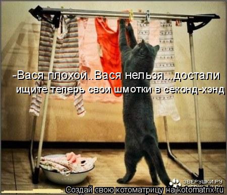 -Вася плохой..Вася нельзя...достали ищите теперь свои шмотки в секонд-хэнд... Котоматрица: -Вася плохой..Вася нельзя...достали ищите теперь свои шмотки в секонд-хэнд