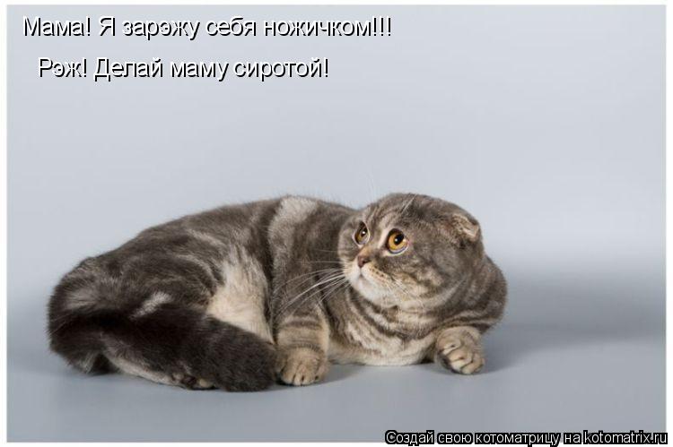 Рэж! Делай маму сиротой! Мама! Я зарэжу себя ножичком!!!... Котоматрица: Рэж! Делай маму сиротой! Мама! Я зарэжу себя ножичком!!!