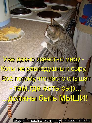 Уже давно известно миру - Коты не равнодушны к сыру. Всё потому,что часто слышат - - там,где есть сыр... Котоматрица: Уже давно известно миру - Коты не равнодушны к сыру. Всё потому,что часто слышат - - там,где есть сыр... ...должны быть МЫШИ!