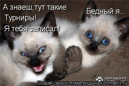 А знаеш,тут такие Турниры! Я тебя записал! Бедный я...... Котоматрица: А знаеш,тут такие Турниры! Я тебя записал! Бедный я...