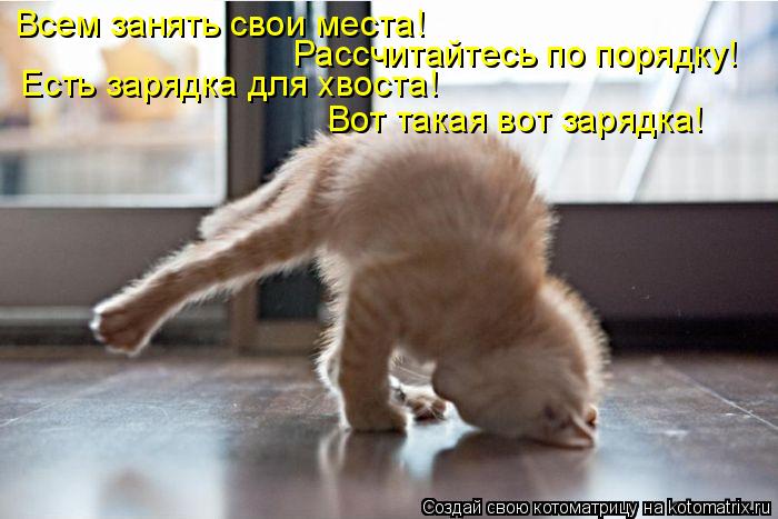 Всем занять свои места! Рассчитайтесь по порядку! Есть зарядка для хвоста! Вот такая вот зарядка!... Котоматрица: Всем занять свои места! Рассчитайтесь по порядку! Есть зарядка для хвоста! Вот такая вот зарядка!