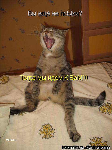 Вы ещё не псЫхи? Тогда мы идём К ВаМ!!!... Котоматрица: Вы ещё не псЫхи? Тогда мы идём К ВаМ!!!