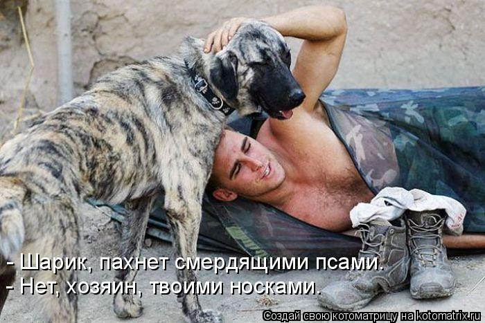- Шарик, пахнет смердящими псами. - Нет, хозяин, твоими носками.... Котоматрица: - Шарик, пахнет смердящими псами. - Нет, хозяин, твоими носками.