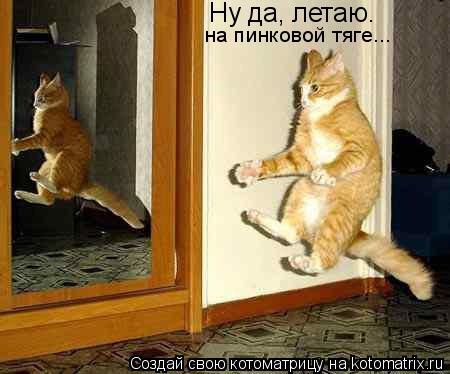 Ну да, летаю. на пинковой тяге...... Котоматрица: Ну да, летаю. на пинковой тяге...