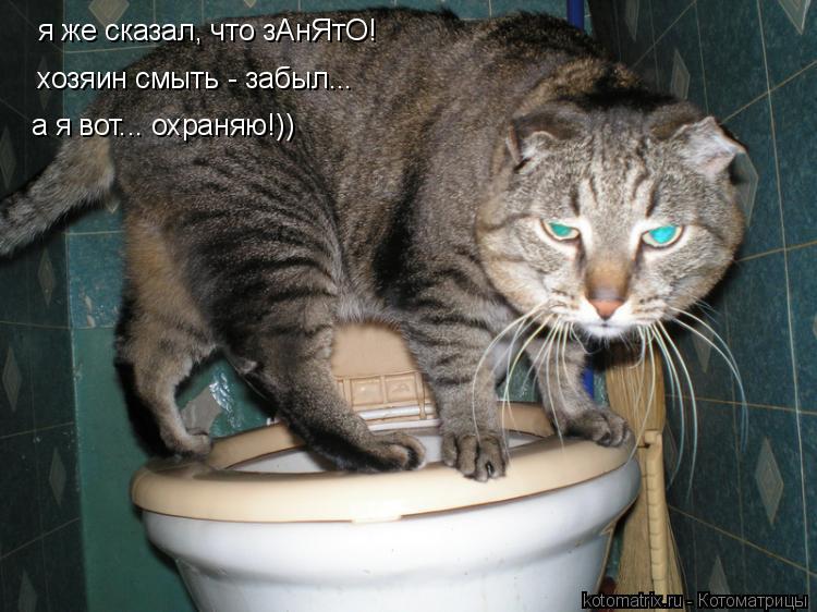 я же сказал, что зАнЯтО! хозяин смыть - забыл... а я вот... охраняю!))... Котоматрица: я же сказал, что зАнЯтО! хозяин смыть - забыл... а я вот... охраняю!))