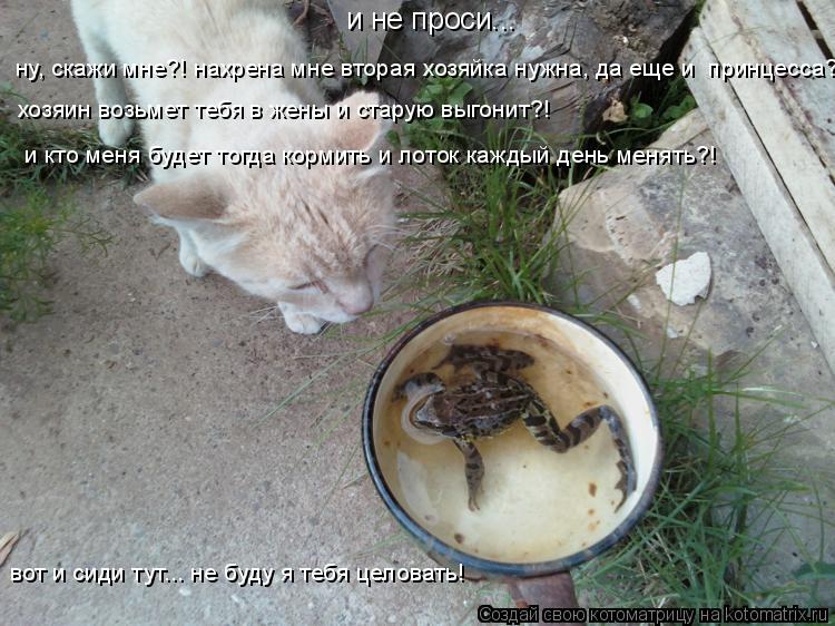 и не проси... ну, скажи мне?! нахрена мне вторая хозяйка нужна, да еще и принцесса?! хозяин возьмет ... Котоматрица: и не проси... ну, скажи мне?! нахрена мне вторая хозяйка нужна, да еще и принцесса?! хозяин возьмет тебя в жены и старую выгонит?! и кто меня буд