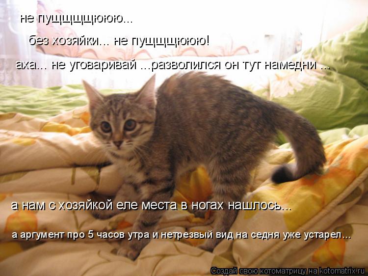 не пущщщщююю... без хозяйки... не пущщщююю! аха... не уговаривай ...разволился он тут намедни ... а н... Котоматрица: не пущщщщююю... без хозяйки... не пущщщююю! аха... не уговаривай ...разволился он тут намедни ... а нам с хозяйкой еле места в ногах нашлось... а арг