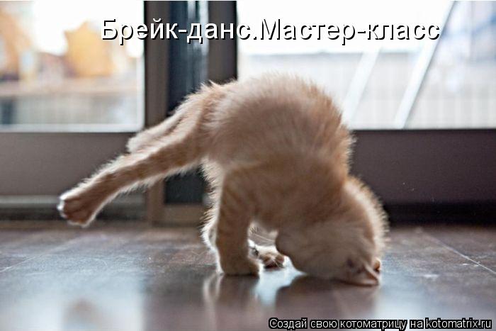 Брейк-данс.Мастер-класс... Котоматрица: Брейк-данс.Мастер-класс