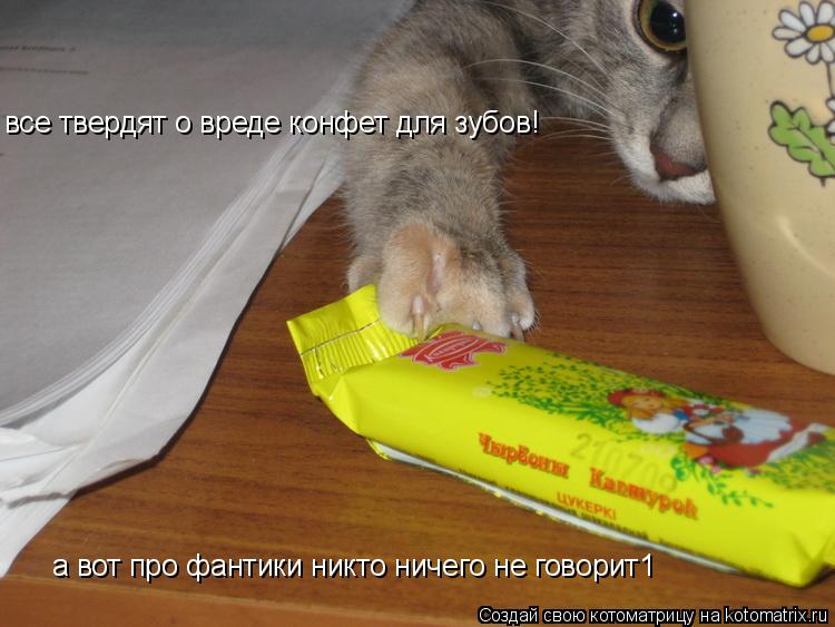 все твердят о вреде конфет для зубов! а вот про фантики никто ничего не говорит1... Котоматрица: все твердят о вреде конфет для зубов! а вот про фантики никто ничего не говорит1