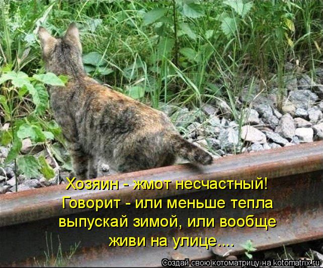 Хозяин - жмот несчастный! Говорит - или меньше тепла выпускай зимой, или вообще живи на улице....... Котоматрица: Хозяин - жмот несчастный! Говорит - или меньше тепла выпускай зимой, или вообще живи на улице....