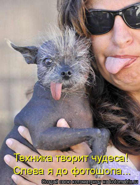 Техника творит чудеса! Слева я до фотошопа...... Котоматрица: Техника творит чудеса! Слева я до фотошопа...