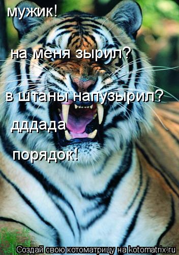мужик! на меня зырил? в штаны напузырил? дддада порядок!... Котоматрица: мужик! на меня зырил? в штаны напузырил? дддада порядок!