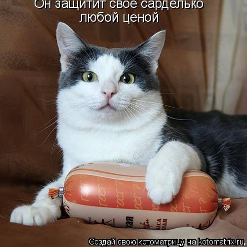 Он защитит своё сарделько любой ценой... Котоматрица: Он защитит своё сарделько любой ценой