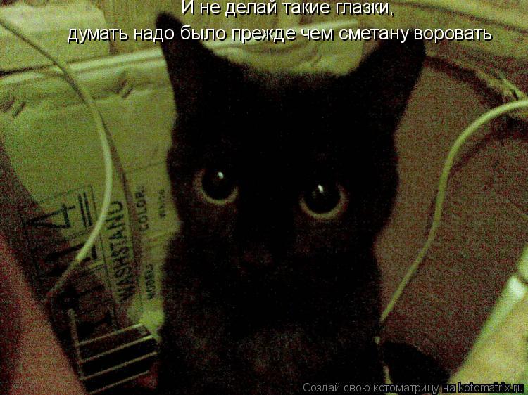 И не делай такие глазки, думать надо было прежде чем сметану воровать... Котоматрица: И не делай такие глазки, думать надо было прежде чем сметану воровать