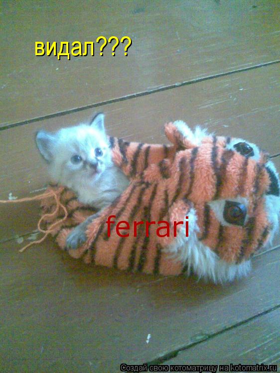 видал??? ferrari... Котоматрица: видал??? ferrari