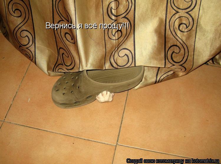 Вернись,я всё прощу!!!... Котоматрица: Вернись,я всё прощу!!!