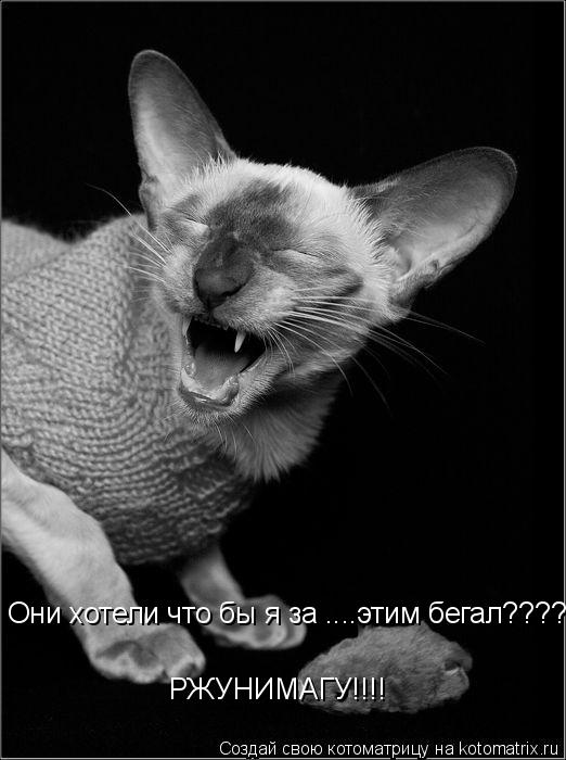 Они хотели что бы я за ....этим бегал????? РЖУНИМАГУ!!!!... Котоматрица: Они хотели что бы я за ....этим бегал????? РЖУНИМАГУ!!!!