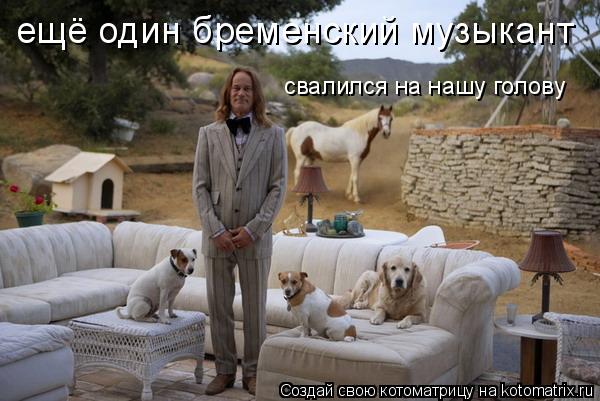 ещё один бременский музыкант свалился на нашу голову... Котоматрица: ещё один бременский музыкант свалился на нашу голову