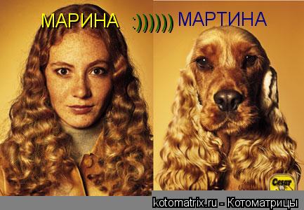 МАРИНА МАРТИНА :))))))... Котоматрица: МАРИНА МАРТИНА :))))))