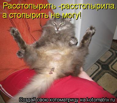 Расстопырить -расстопырила. а стопырить не могу!... Котоматрица: Расстопырить -расстопырила. а стопырить не могу!