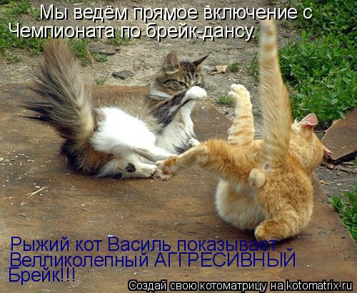 Мы ведём прямое включение с Чемпионата по брейк-дансу. Рыжий кот Василь показывает Велликолепный АГГР... Котоматрица: Мы ведём прямое включение с Чемпионата по брейк-дансу. Рыжий кот Василь показывает Велликолепный АГГРЕСИВНЫЙ Брейк!!!