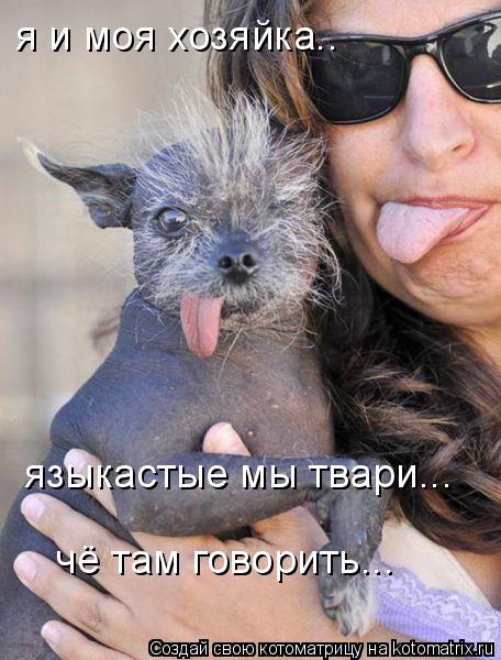 языкастые мы твари... чё там говорить... я и моя хозяйка..... Котоматрица: языкастые мы твари... чё там говорить... я и моя хозяйка..