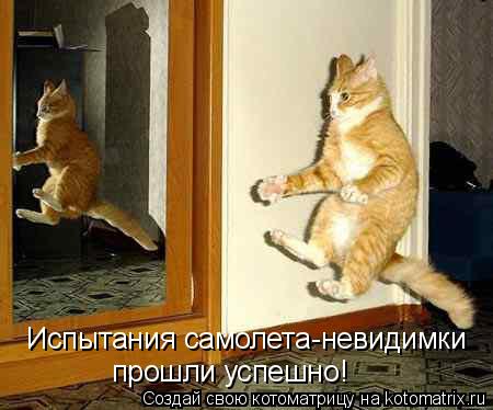 Испытания самолета-невидимки прошли успешно!... Котоматрица: Испытания самолета-невидимки прошли успешно!