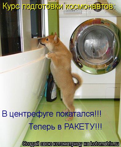Курс подготовки космонавтов: В центрефуге покатался!!! Теперь в РАКЕТУ!!!... Котоматрица: Курс подготовки космонавтов: В центрефуге покатался!!! Теперь в РАКЕТУ!!!