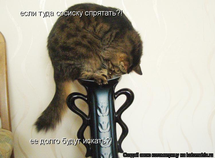 если туда сосиску спрятать?! ее долго будут искать?!... Котоматрица: если туда сосиску спрятать?! ее долго будут искать?!