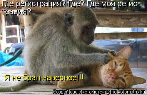 Где регистрация? Где? Где моя регис- трация? Я не брал наверное!!!... Котоматрица: Где регистрация? Где? Где моя регис- трация? Я не брал наверное!!!