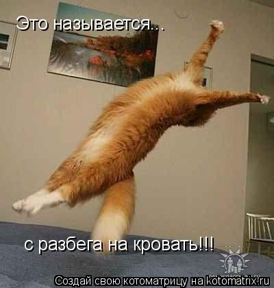 Это называется... с разбега на кровать!!!... Котоматрица: Это называется... с разбега на кровать!!!