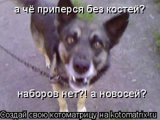 а чё приперся без костей? наборов нет?! а новосей?... Котоматрица: а чё приперся без костей? наборов нет?! а новосей?