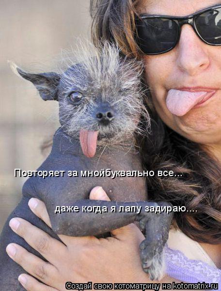 Повторяет за мнойбуквально все... даже когда я лапу задираю....... Котоматрица: Повторяет за мнойбуквально все... даже когда я лапу задираю....