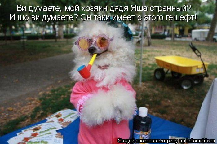 Ви думаете, мой хозяин дядя Яша странный? И шо ви думаете? Он таки имеет с этого гешефт!... Котоматрица: Ви думаете, мой хозяин дядя Яша странный? И шо ви думаете? Он таки имеет с этого гешефт!